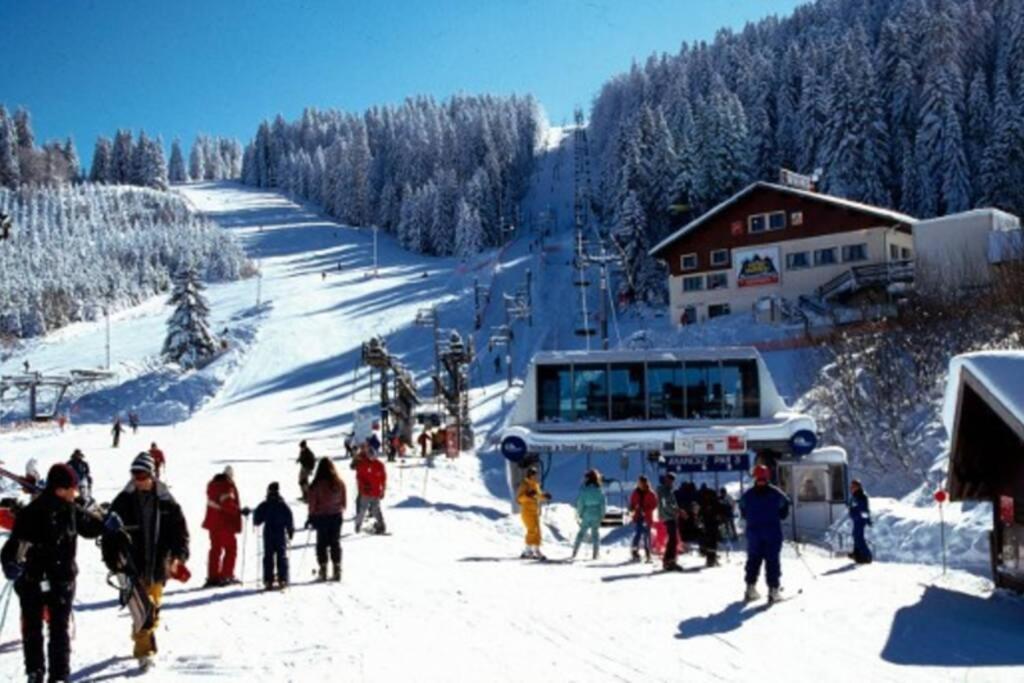 Le Chalet Du Bonheur , Individuel Avec Belle Vue Ban-de-Laveline Bagian luar foto